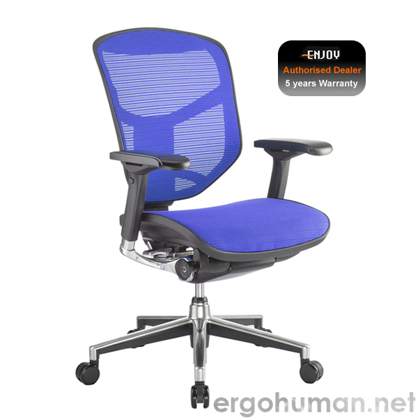 Enjoy Blue Mesh Office Chair no Head Rest