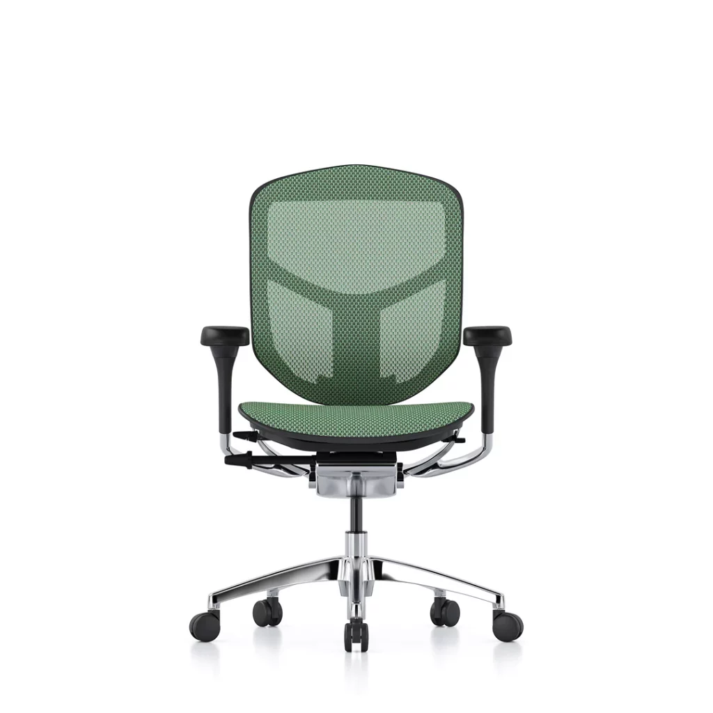 Enjoy Elite Mesh Office Chair G2 Black Frame, Green Mesh